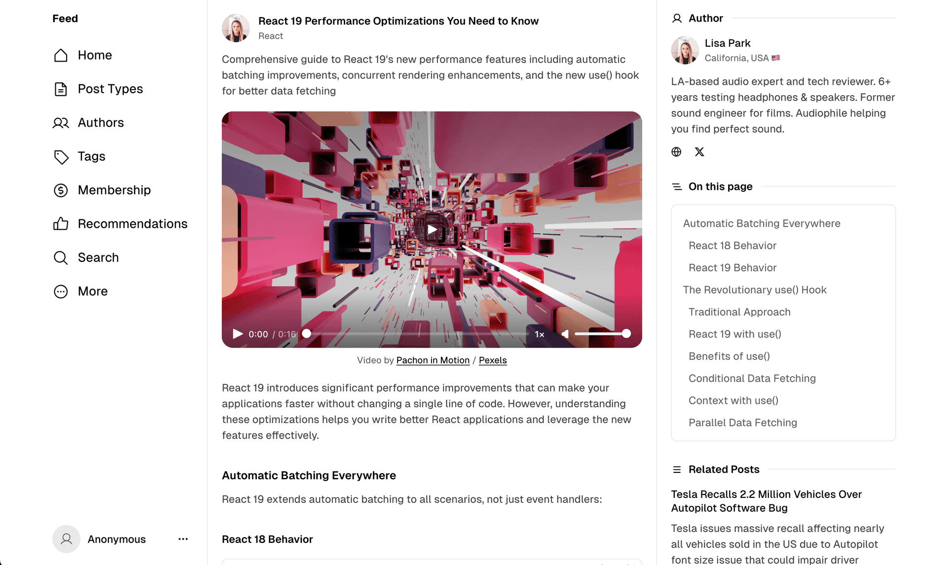 Feed theme post featured video
