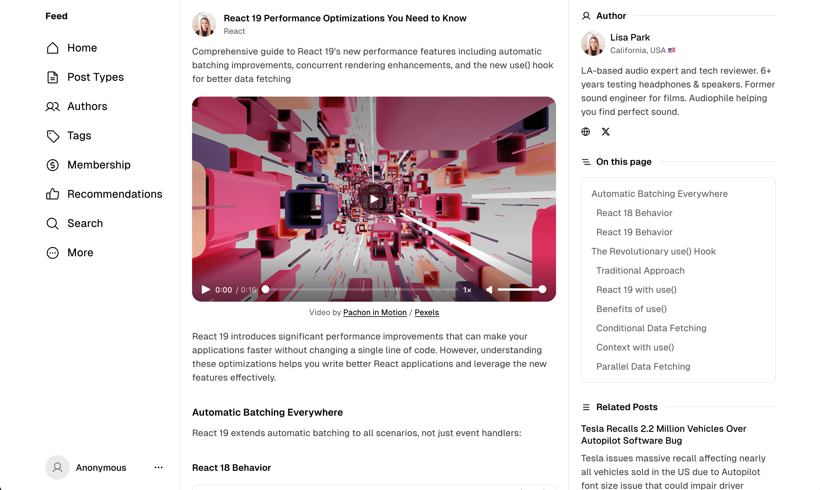 Feed theme post featured video